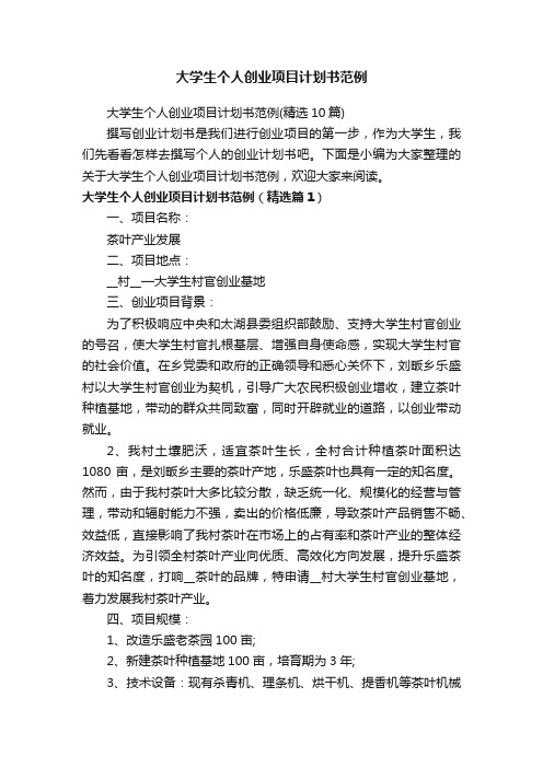 大学生个人创业项目计划书范例（精选10篇）