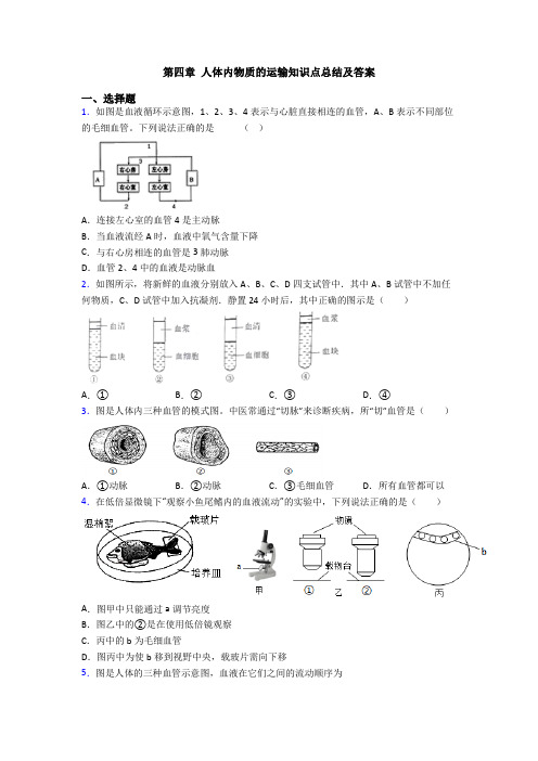 第四章 人体内物质的运输知识点总结及答案