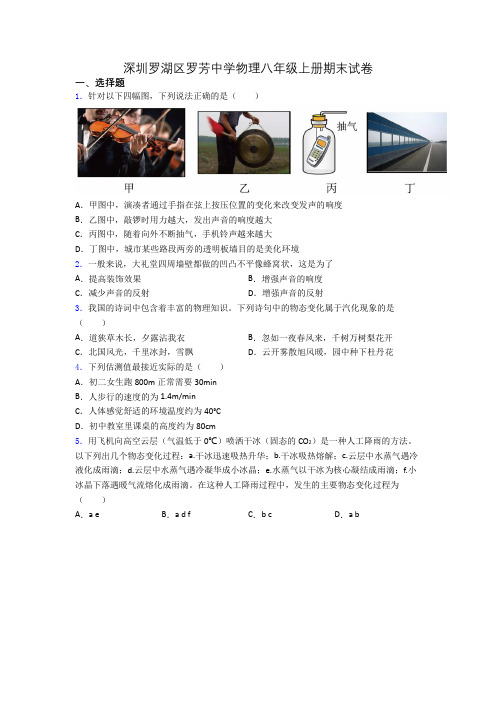 深圳罗湖区罗芳中学物理八年级上册期末试卷