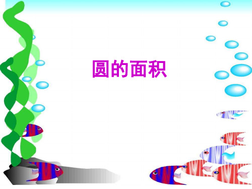 六年级上册数学课件-4.3 圆的面积(2)