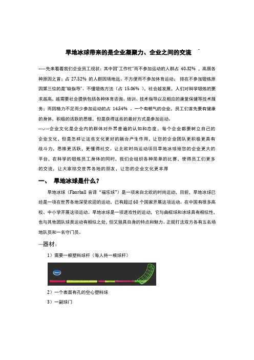 旱地冰球的商业价值.doc1