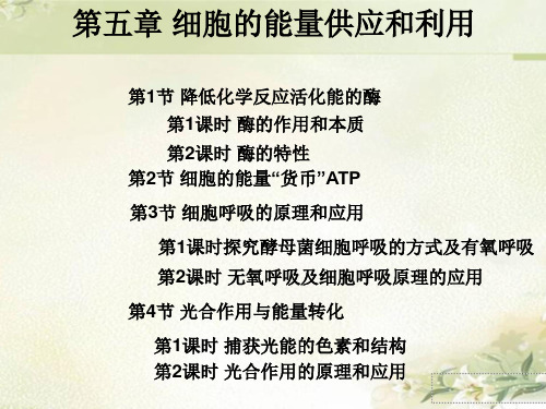 新教材人教版高中生物必修1分子与细胞 第5章细胞的能量供应和利用 精品教学课件(共224页)