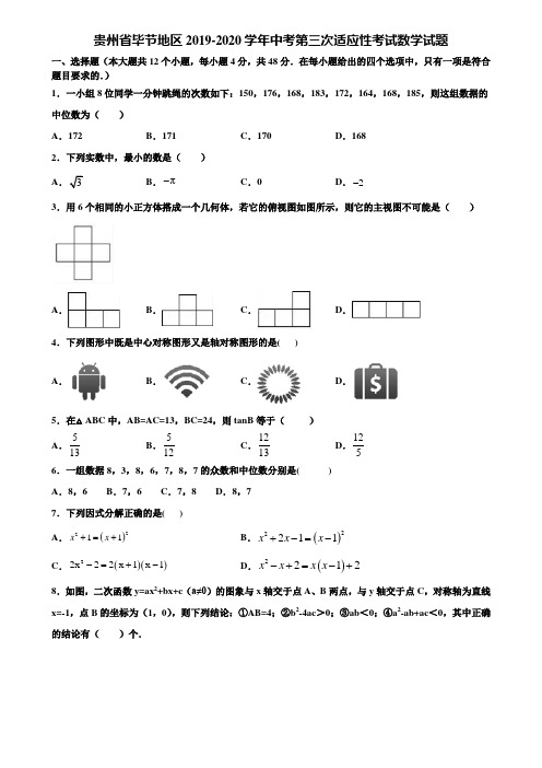 贵州省毕节地区2019-2020学年中考第三次适应性考试数学试题含解析