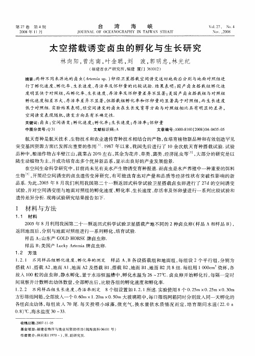 太空搭载诱变卤虫的孵化与生长研究