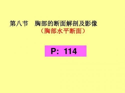 胸部的断面解剖及影像ppt课件