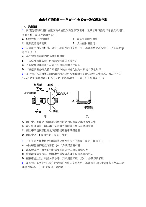 山东省广饶县第一中学高中生物必修一测试题及答案