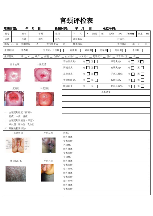 宫颈评检表