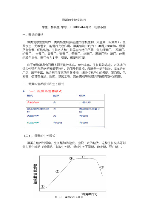 藻类的实验室培养