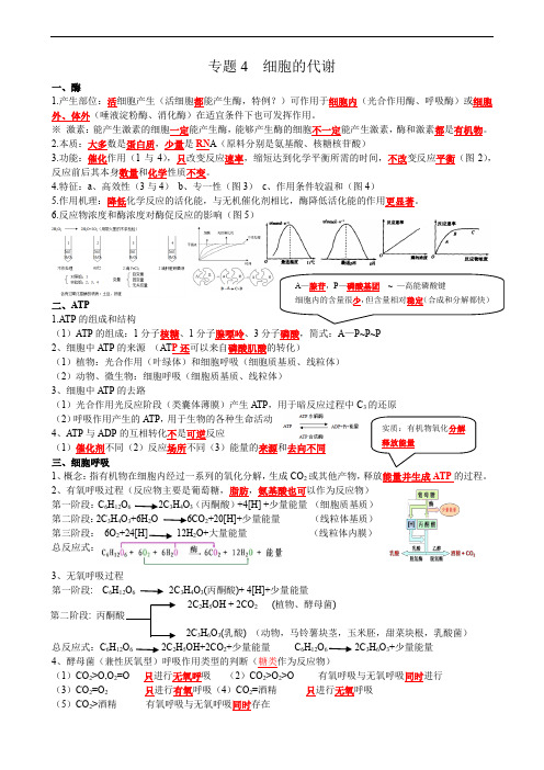 高中生物高考2021年高考二轮生物复习知识清单：04细胞的代谢 