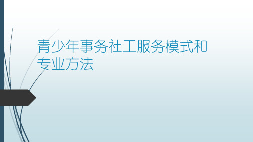 青少年事务社工服务模式和专业方法