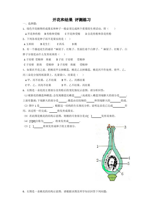 【观评练习】《开花和结果》