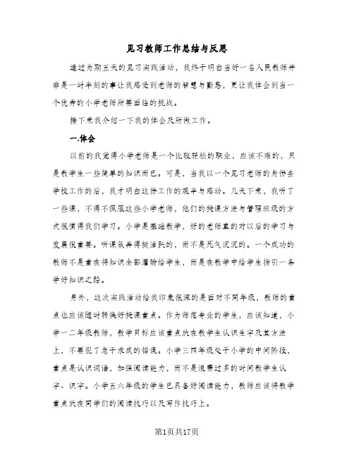 见习教师工作总结与反思(5篇)