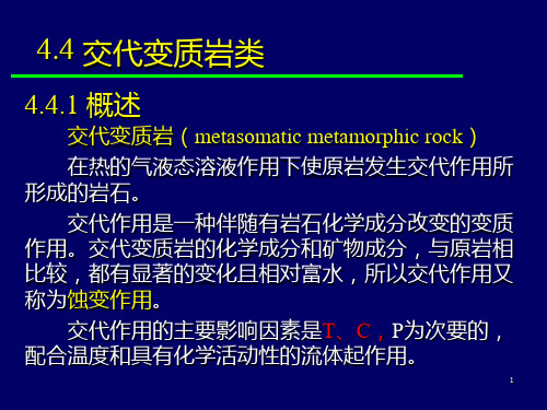 变质岩石学第四章 变质岩的主要类型交变质岩类PPT课件