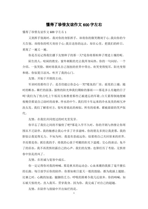 懂得了珍惜友谊作文600字左右