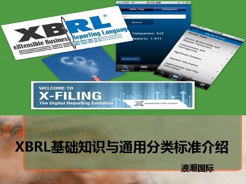 2.XBRL基础知识与通用分类标准介绍