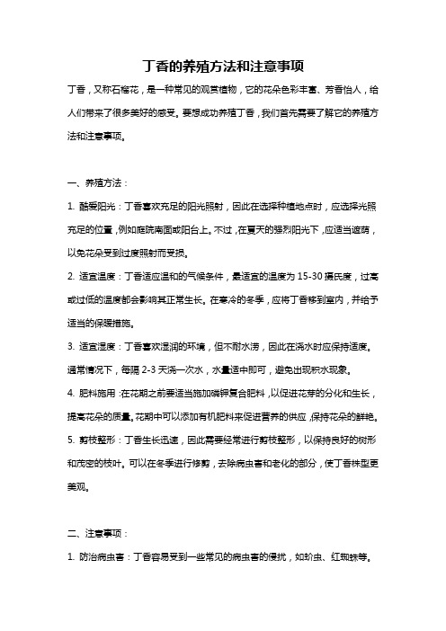 丁香的养殖方法和注意事项