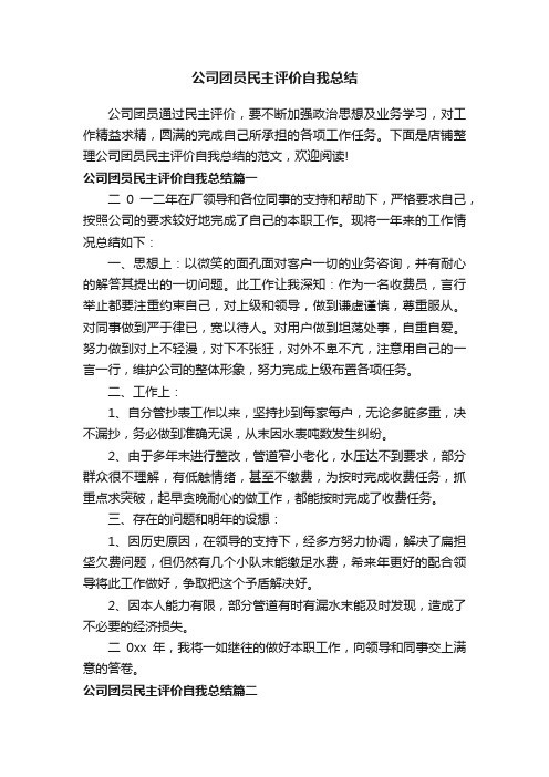 公司团员民主评价自我总结