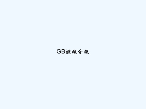 GB燃烧分级 PPT