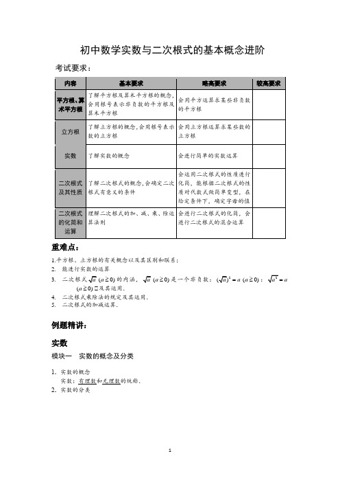 初中数学实数与二次根式的基本概念进阶(含解析)