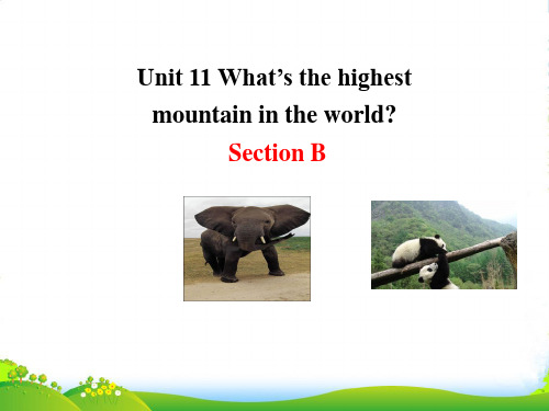 鲁教版九年级英语下册Unit 11 What’s the highest mountain in t