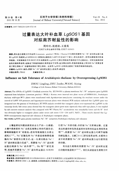 过量表达大叶补血草LgSOS1基因对拟南芥耐盐性的影响