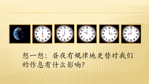 青岛版小学科学六年级上册15课昼夜与生物课件最新