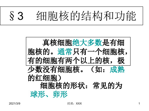 细胞核的结构和功能(教学201909)PPT课件