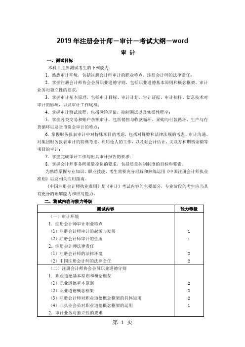 2019年注册会计师-审计-考试大纲-精品文档6页