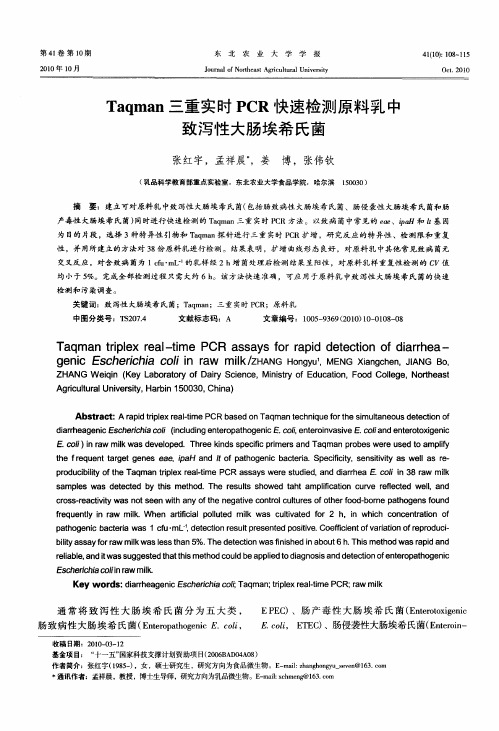 Taqman三重实时PCR快速检测原料乳中致泻性大肠埃希氏菌