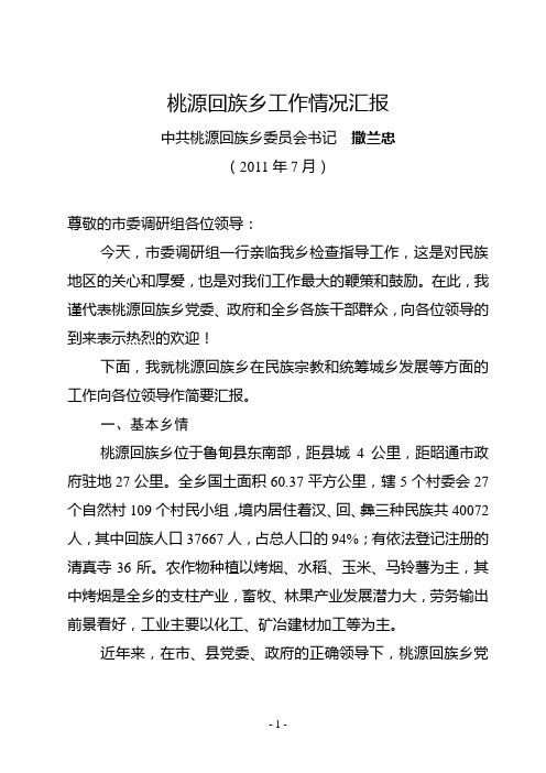 桃源回族乡工作情况汇报