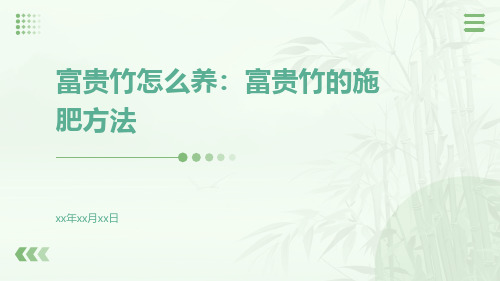 富贵竹怎么养：富贵竹的施肥方法