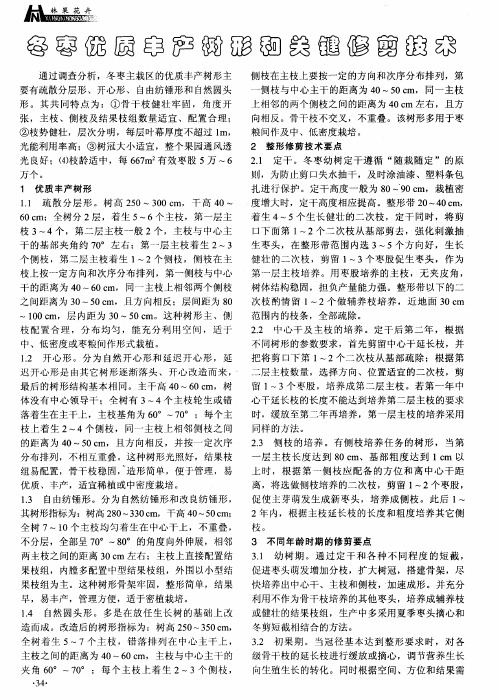 冬枣优质丰产树形和关键修剪技术