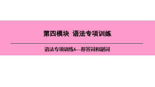 2020·新课标·中考宝典广东版·英语·课件 第四模板  语法专项训练6—形容词和副词