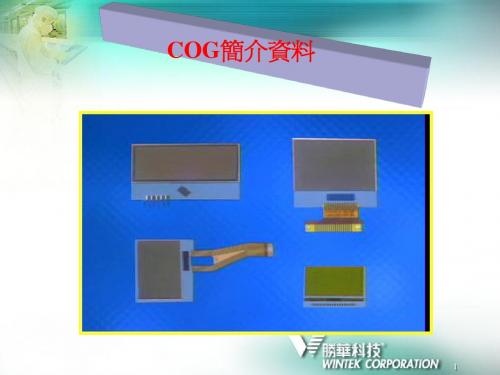 COG流程