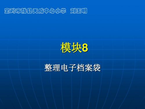 模八__整理电子档案袋