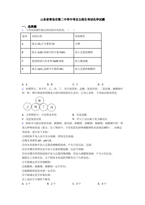 山东省青岛市第二中学中考自主招生考试化学试题