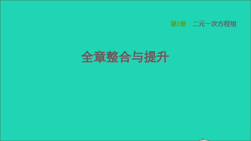 七年数学下册第1章二元一次方程组全章整合与提升习题课件湘教版