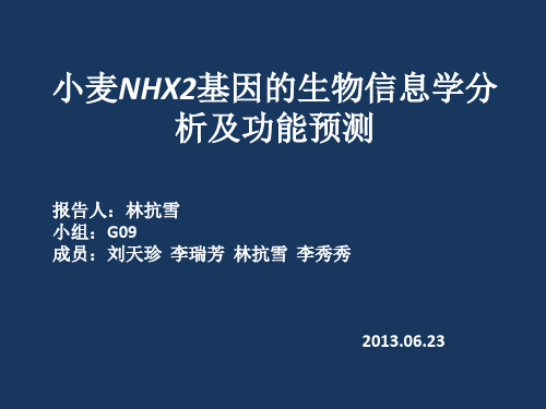 小麦NHX2基因的生物信息学分