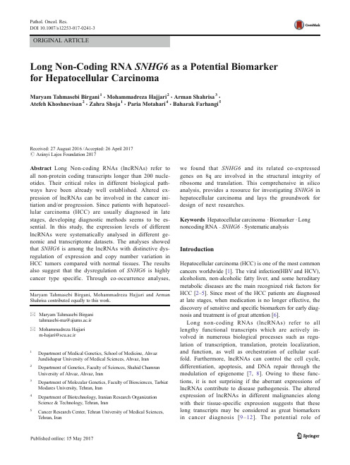 Long Non-Coding RNA SNHG6 as a Potential Biomarker for Hepatocellular Carcinoma