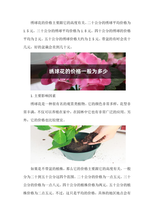 绣球花的价格一般为多少