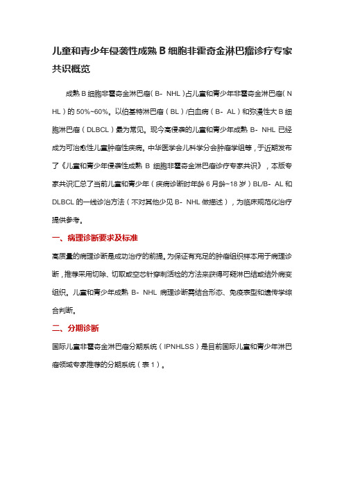 儿童和青少年侵袭性成熟B细胞非霍奇金淋巴瘤诊疗专家共识概览