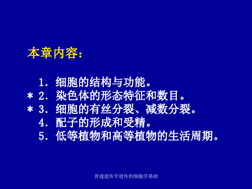 普通遗传学遗传的细胞学基础课件