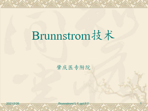 Brunnstrom技术 ppt课件