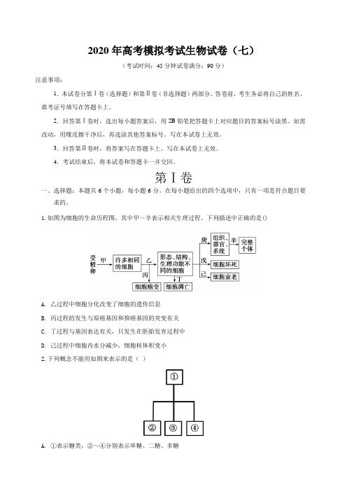 2020年高考模拟考试生物试卷(七)附解答