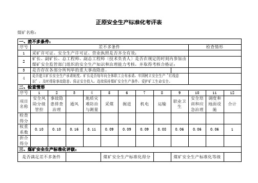 正原安全生产标准化考评表