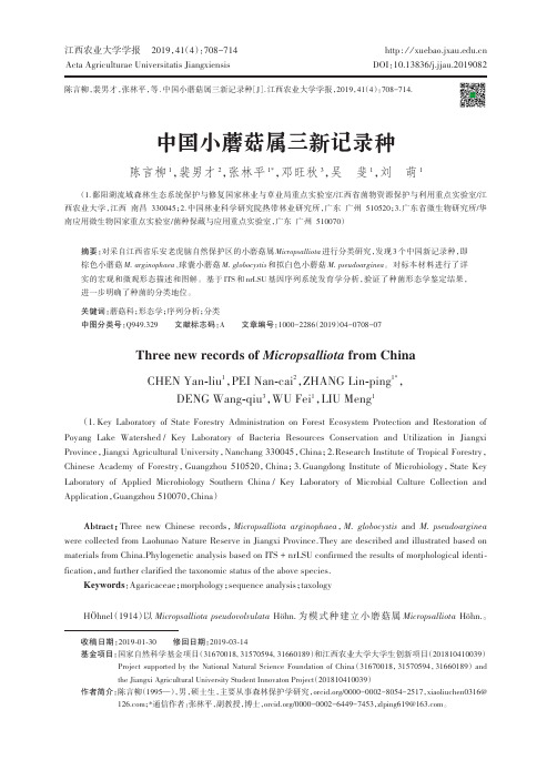 中国小蘑菇属三新记录种