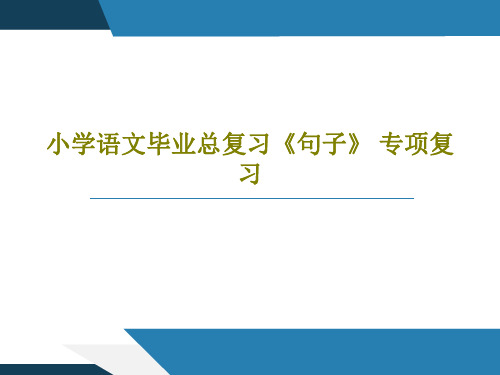 小学语文毕业总复习《句子》 专项复习共34页文档