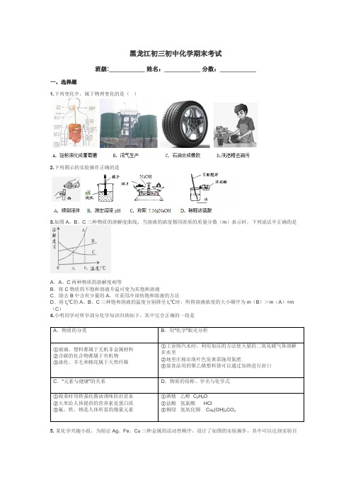 黑龙江初三初中化学期末考试带答案解析
