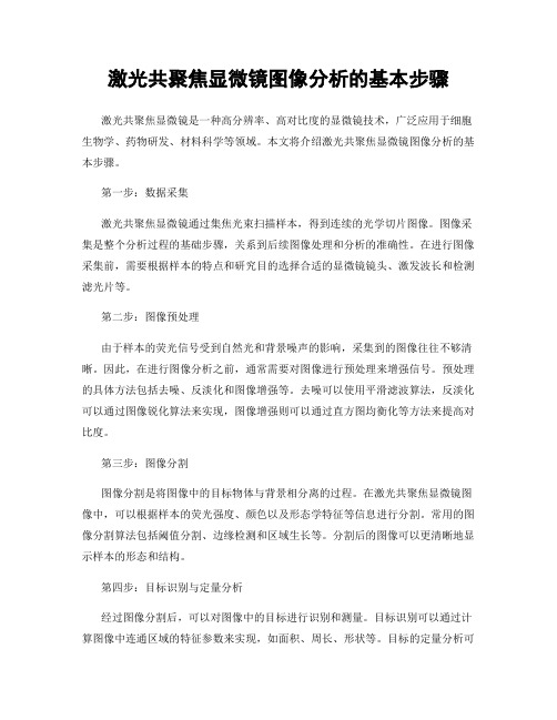 激光共聚焦显微镜图像分析的基本步骤