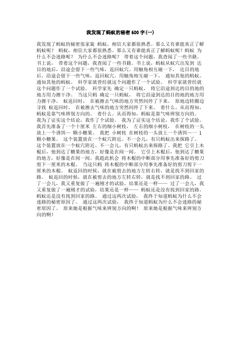 我发现了蚂蚁的秘密600字